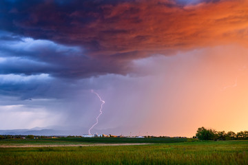 Wall Mural - thunderstorm lightning strike over a field at sunset