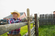 Rancher Fixing Fence Post In Pasture