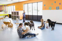 Man Playing With Dogs At Dog Daycare