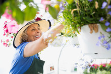Smiling Worker Tending To Hanging Flower Baskets