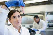 Scientist Examining Blood Samples In Laboratory