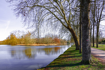 Wall Mural - autumn in the park