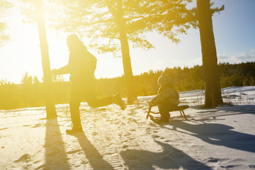 Wall Mural - Father rides his son on a sled in winter