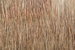 Close up of thatch roof background, hay or dry grass background