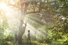  The Sun's Rays Make Their Way Through The Leaves Of Trees In A Garden Or Wild Forest At Sunset Or Sunrise In Spring Or Summer.  Children  Play In The Forest