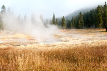 Wall Mural - Thermal stream in Lamar Valley, Yellowstone 