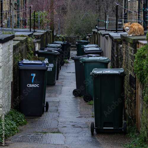 Wheelie bins have made the job of clearing rubbish easier and helped with recycling but they can be something of an eyesore especially in a tourist area