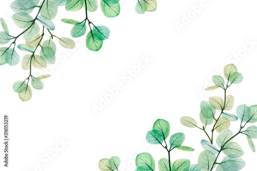 Watercolor eucalyptus leaf  frame. Floristic design elements for floristics. ...