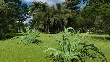 Canvas Print - Tropical park in the afternoon 3d rendering