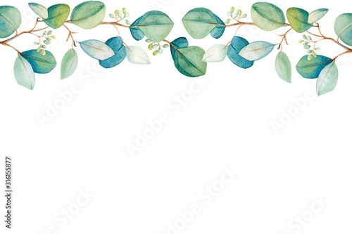 Watercolor eucalyptus leaf  frame. Floristic design elements for floristics. ...
