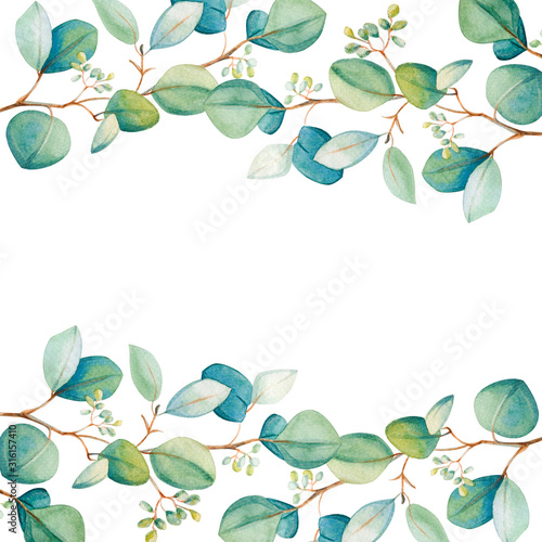 Watercolor eucalyptus leaf  frame. Floristic design elements for floristics. ...