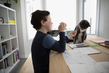 Boy With Pencil Drawing, Playing With Cat On Dining Table
