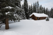 Snowy Cabin In Woods