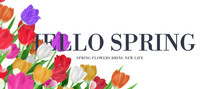 Elegant Hello Spring Text Floral Frame Banner, Colorful Tulips Bouquet Background Vector Illustration