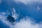Fototapeta Kosmos - Roques, Fog and Canary Island pine forest, La Cumbrecita, Caldera de Taburiente National Park, Island of La Palma, Canary Islands, Spain, Europe