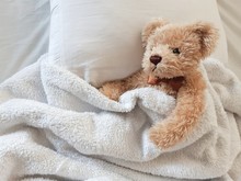 Teddy Bear In Bed