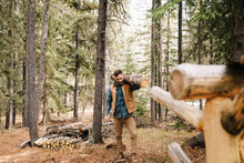 Man Carrying Tree Trunk For Firewood In Woods