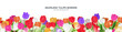 Colorful tulips flower seamless border vector decoration, 3d floral frame template illustration