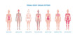 © sabelskaya - Female body biological infographic set flat vector illustration isolated.