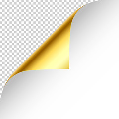 Wall Mural - Realistic golden curled page corner with shadow on checkered background. Greeting card design element. Blank sheet of paper. Vector illustration.