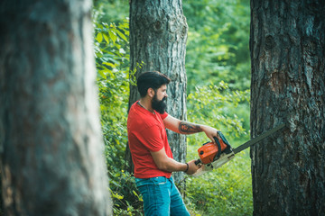 Wall Mural - Lumberjack worker with chainsaw in the forest. Lumberjack in the woods with chainsaw axe. Lumberjack with chainsaw on forest background.