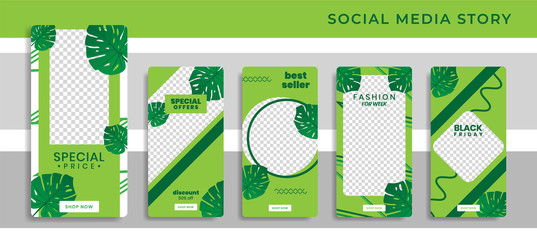 Wall Mural - Banners Bundle Kit Set of Social Media Story Instagram, Facebook, Monstera Green Trendy. Poster, Flyer, Coupon, Layout Composision Golden, Smartphone Templates Geometric Sale Banner Background eps 10