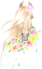 Watercolor Portrait Of A Beautiful Elegant Horse Among Delicate Bouquets Of Flowers. Great For Decorating Postcards, Invitations, Textiles, Photo Albums, Business Cards, Calendars And More.