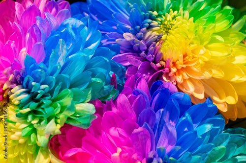 natural flowers background