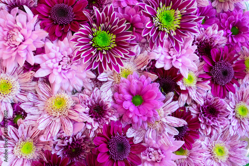 natural flowers background
