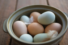 Fresh Organic Multicolor Eggs And Feathers In Bowl