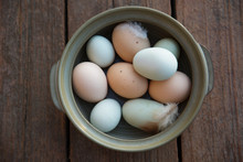 Fresh Organic Multicolor Eggs And Feathers In Bowl