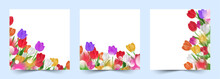 Set Of Beautiful Floral Colorful Tulips Flower Frame Border Template, Spring Wedding Bouquet Background Cover Layout Collection