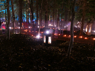 Wall Mural - abstract picture with light paintings, candle light in the forest, tree silhouettes