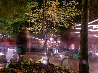 Wall Mural - abstract picture with light paintings, candle light in the forest, tree silhouettes