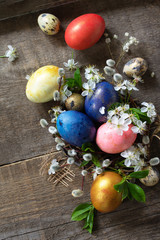 Colored Easter eggs in the nest with spring flowers on a gray wooden background.