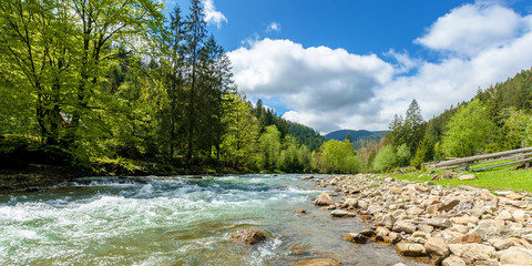 Wall Mural - river in mountains. wonderful springtime scenery of carpathian countryside. blue green water among forest and rocky shore. wooden fence on the river bank. sunny day with clouds on the sky