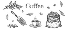 Aroma Coffee Beans Objects Set