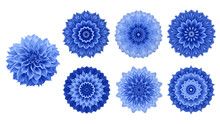 Blue Dahlia Flower With 6 Flower Forms Design Elements (mandala Kaleidoscope Effect), Abstract Mandala Floral Pattern Isolated On White Background.