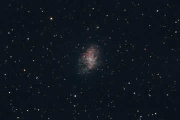 Wall Mural - The Crab Nebula, a supernova remnant in the constellation of Taurus, photographed from Mannheim in Germany.