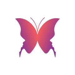 Wall Mural - Butterfly Logo Design Vector Illustration