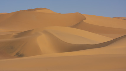 Wall Mural - Dunes in Sahara desert