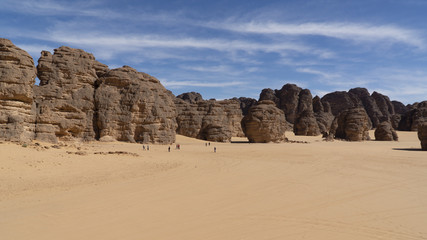 Wall Mural - Landscape of Sahara desert