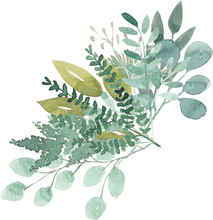 Watercolor Foliage Greenery Branch Abstract Floral Green Blue Eucalyptus
