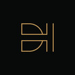 Letter logo DH with line art. design combination of 2 letters into one logo that is unique and simple. gold texture. isolated black. modern template. for company and graphic design.