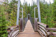 © karamysh - Bridge over mountain river in Vancouver, Canada.