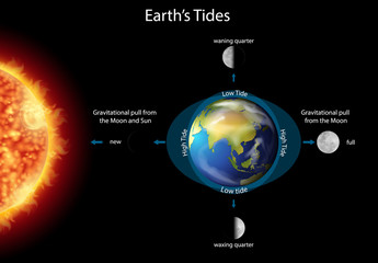 Wall Mural - diagram showing eclipse on earth