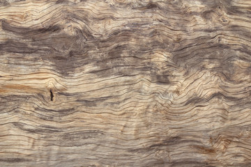 Texture of wood background closeup