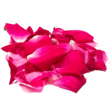 Red Rose Petals Isolated On White Background