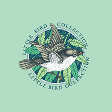Vintage Bird Label