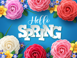 Wall Mural - hello spring vector design. hello spring greeting text with colorful camellia flowers and leaves ele